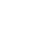 ico-1