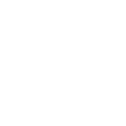 ico-3